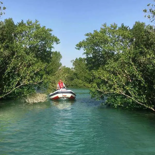 rhinoabu.com -gallery 3